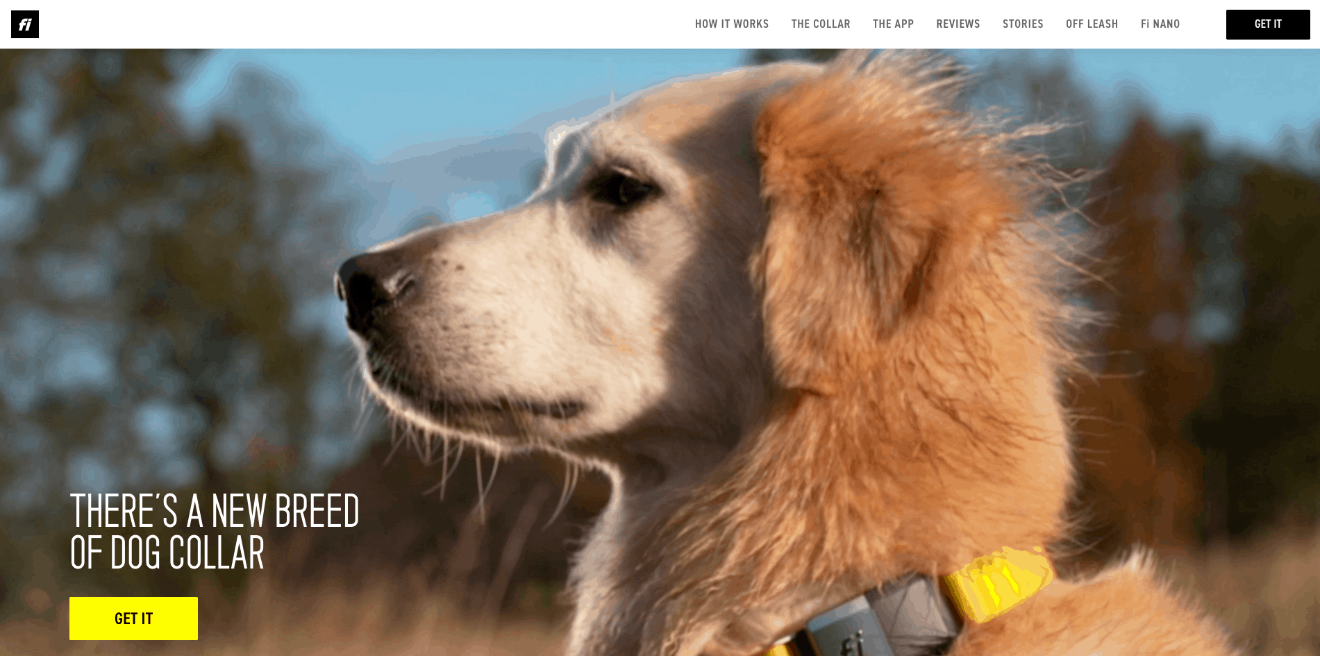 fi-dog-collar-home-page.png