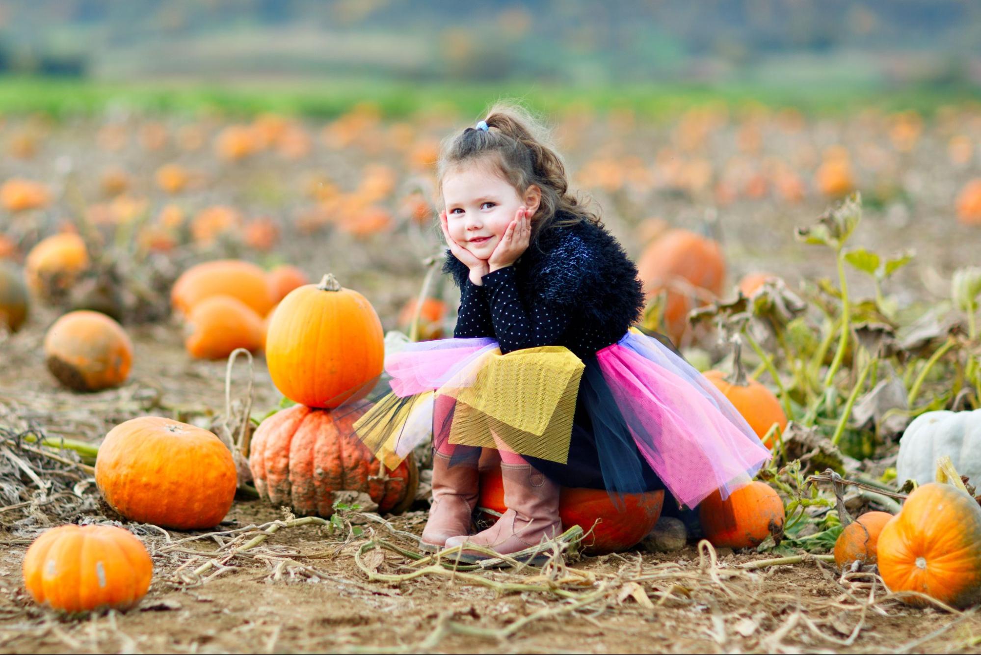 The 150+ BEST Pumpkin Patch Instagram Captions You Need This Year